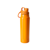 Kit 1 Garrafa Termica Inox Aquamax C/ Alca Laranja 750ml